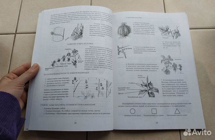 Чаленко Л.В. Биология: Растения. Для абитуриентов