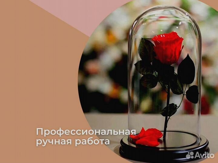 Роза в колбе. Неувядающая