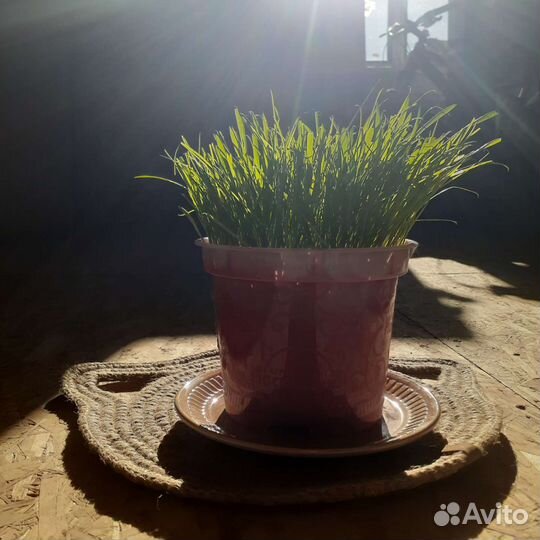 Коврик из джута