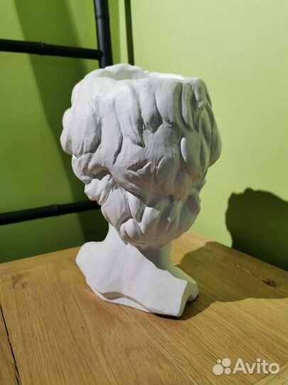 Бюст голова Давида. Гипс. Скульптура