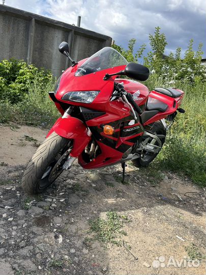 Продаю мотоцикл honda cbr 600rr