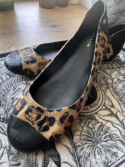 Туфли балетки