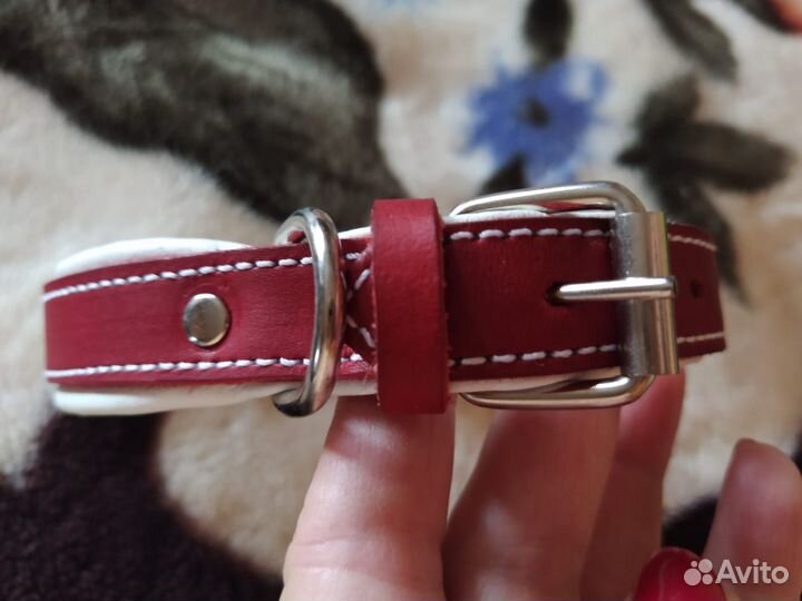 Ошейник для собак