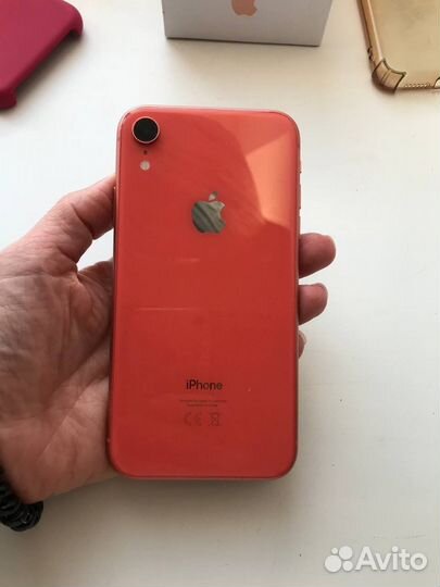 iPhone XR