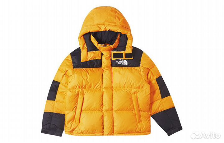 THE north face Urban Exploration Down Jacket Men Yellow (XL)(32)