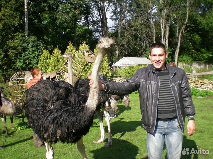 Путешествие в село Татищево - 