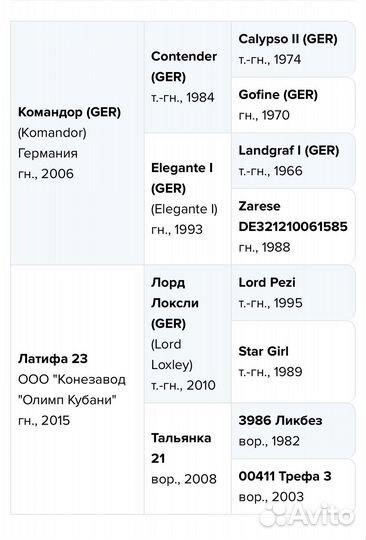 Молодой перспективный жеребчик