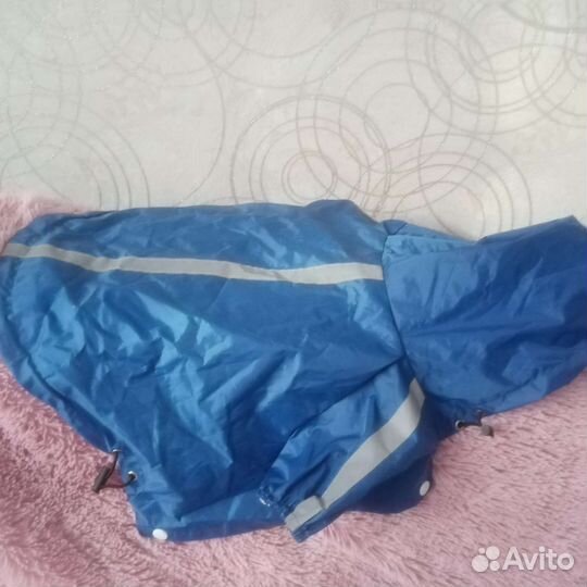 Плащ новый для собаки