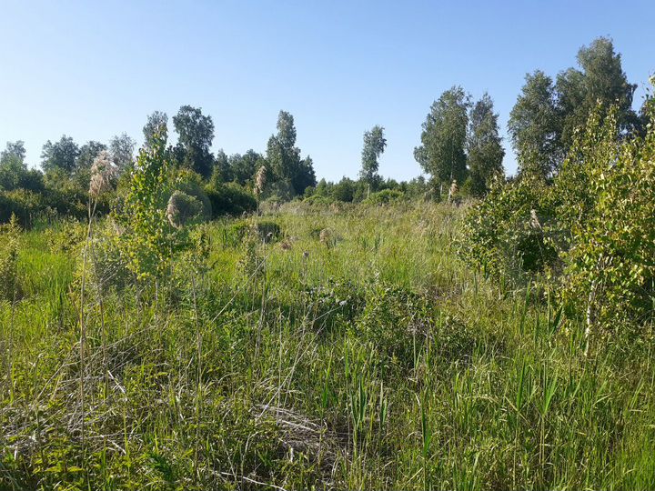 Участок 20 сот. (СНТ, ДНП)