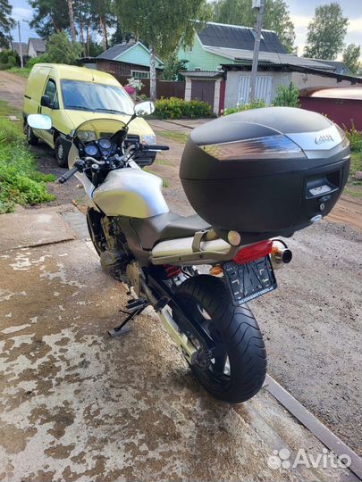 Honda CB 600 S Hornet из Европы эптс 2023г
