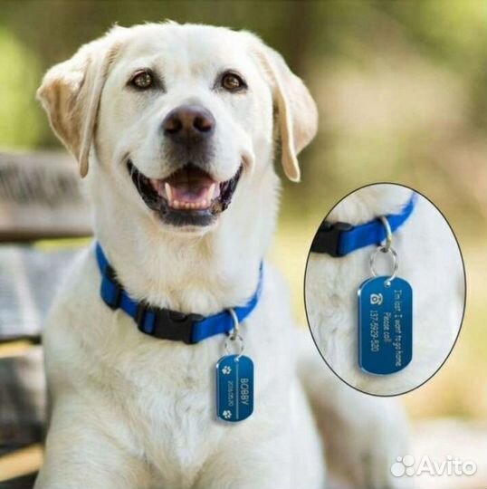 Адресник для собак с гравировкой и доставкой