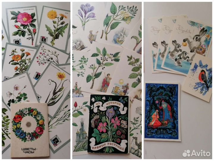 Открытки ботаника