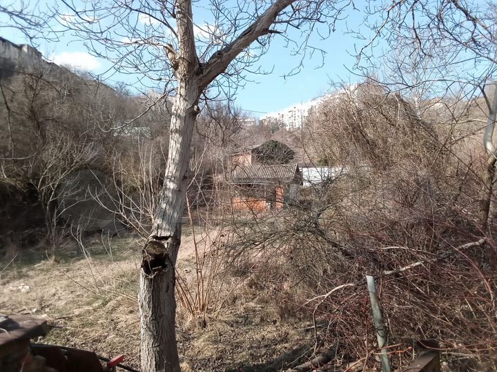 Участок 9,3 сот. (СНТ, ДНП)