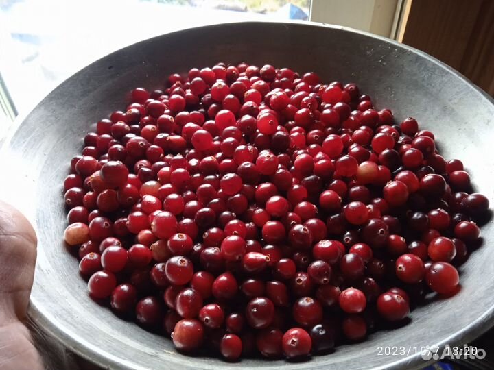 В продаже клюква