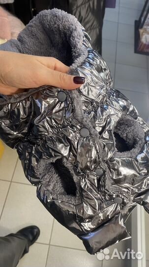 Одежда для собак