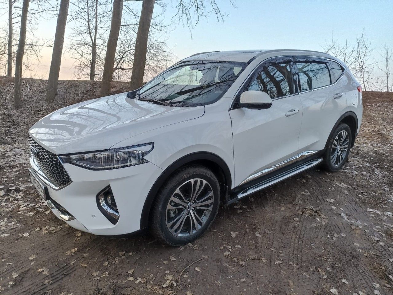 HAVAL F7: фото владельца