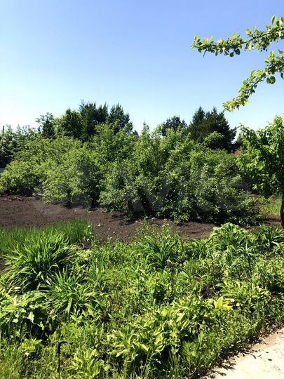 Дача 30 м² на участке 10 сот.