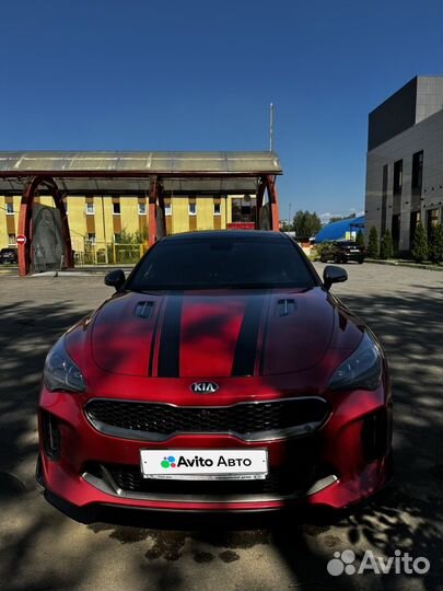 Kia Stinger 2.0 AT, 2019, 108 000 км