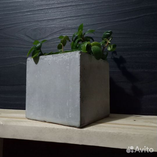 Горшки, Вазоны, Кашпо под заказ из бетона арт 174