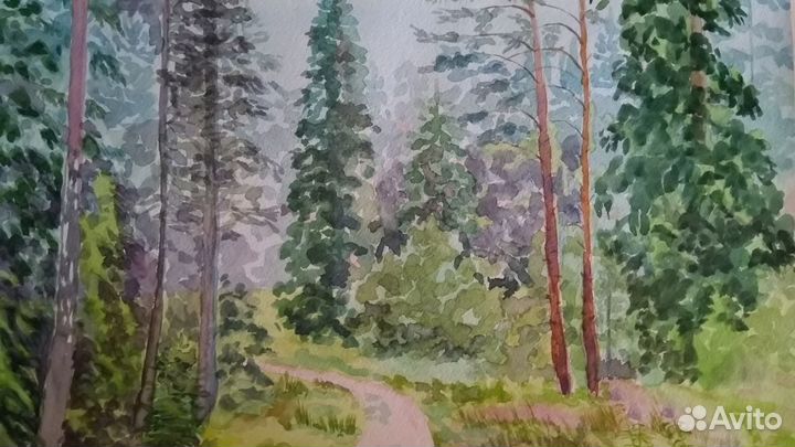 Картина акварелью В хвойном лесу