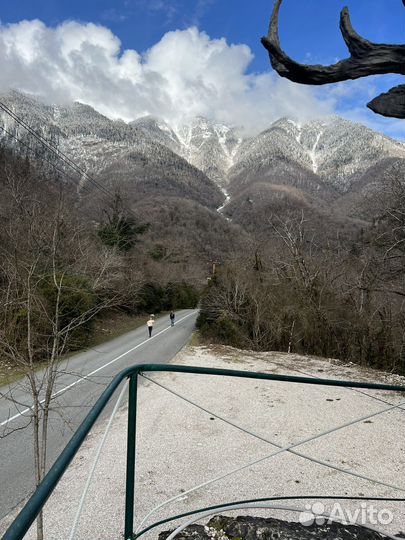 Экскурсии в Абхазию