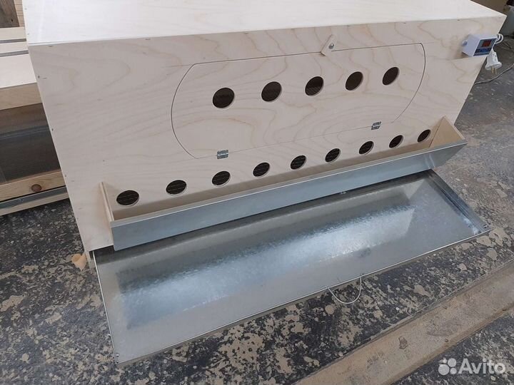 Брудер для цыплят