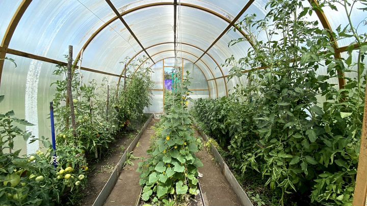 Дача 32 м² на участке 9 сот.