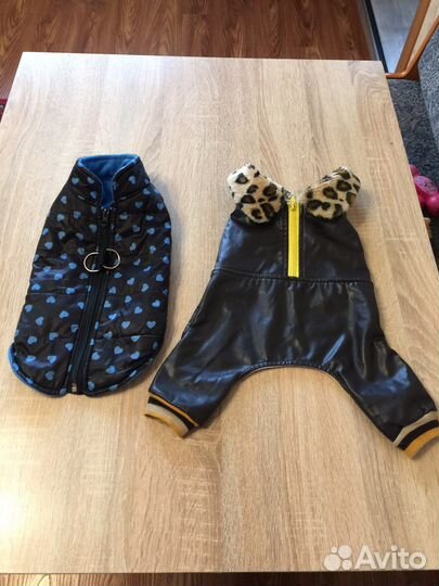 Одежда для собак