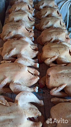 Продукты питания