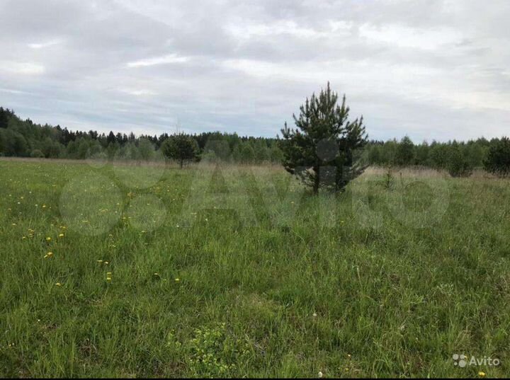 Участок 6,8 га (СНТ, ДНП)
