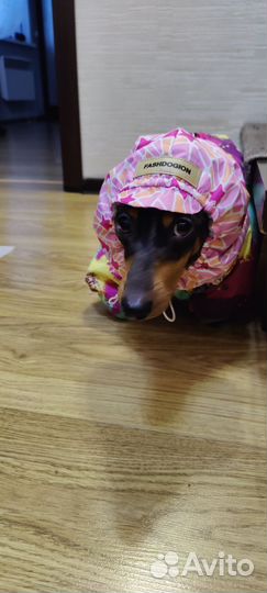 Шапка для собак