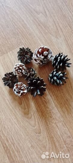 Шишки еловые для творчества