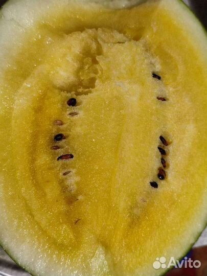 Семена арбуза Бедуин,Оранж Кинг, Топ Ган,дыни Амал