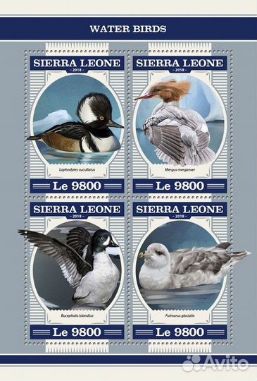 Сьерра-Леоне, 2018. (srl18211) Водяные птицы (мл+б