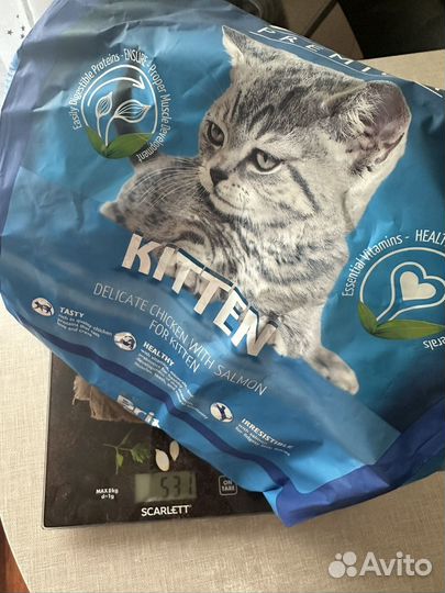 Корм для кошек пакетом