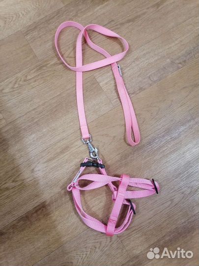 Ошейник для кошек