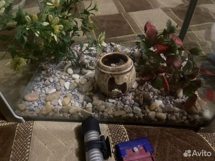 Аквариум с аксессуарами