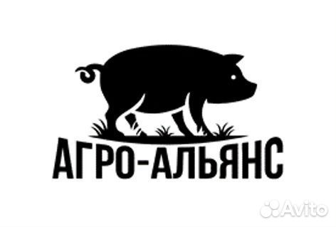 Специалист по продажам и развитию бизнеса