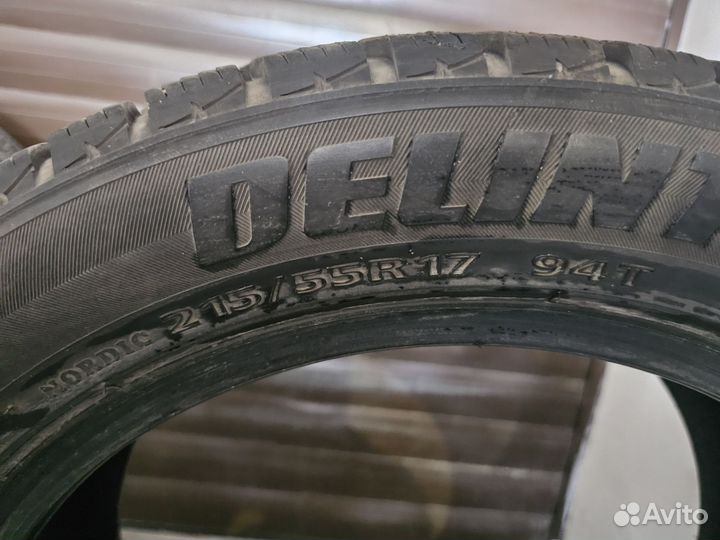 Delinte Winter WD1 215/55 R17 94T
