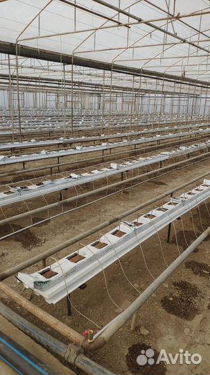 Лотки для теплиц