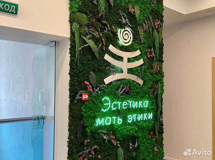 Мох на стене фитостена фитокартина панно панель