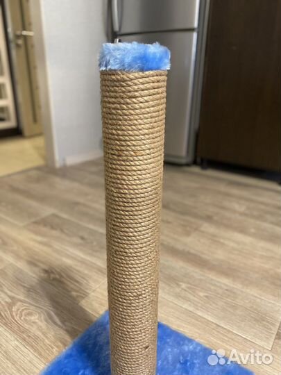 Когтеточка