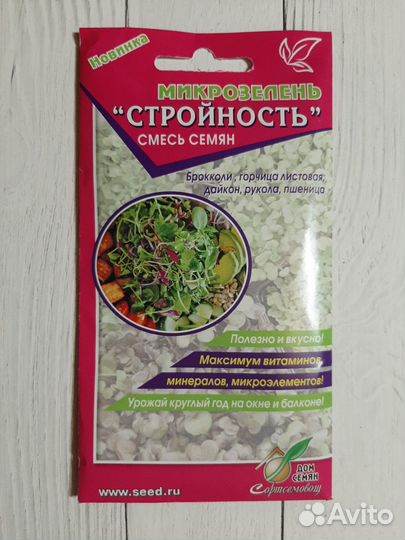 Семена для выращивания микрозелени