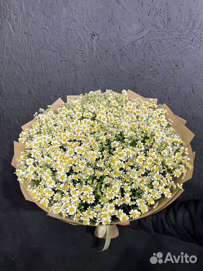 Букет ромашек