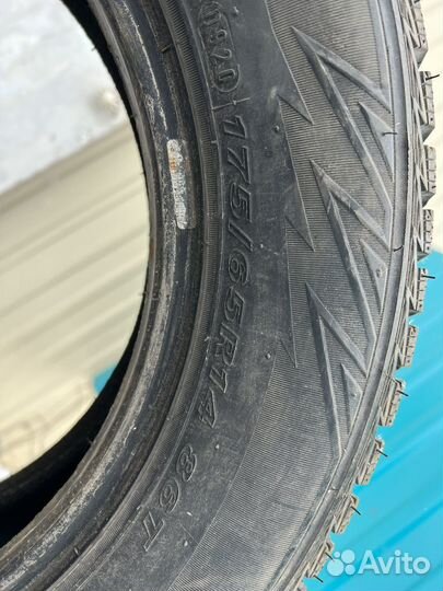 Nexen Winguard Ice 185/65 R14