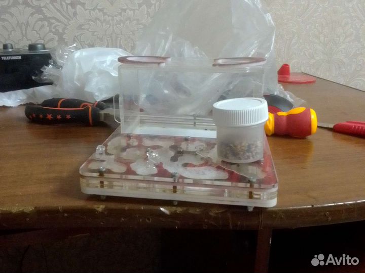 Муравьиная ферма без муравьев