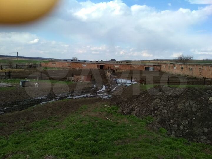 Участок 3,5 га (СНТ, ДНП)