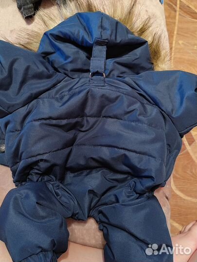 Комбинезон для маленькой собаки