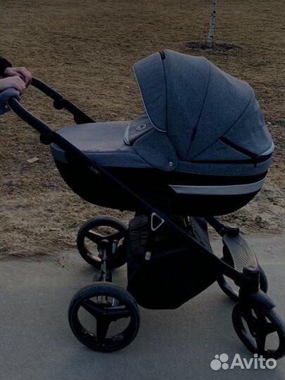 Коляска 2 в 1 adamex cortina