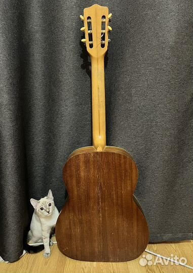 Классическая гитара орфей